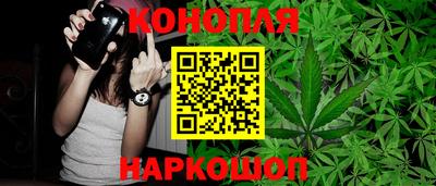 индика Малгобек