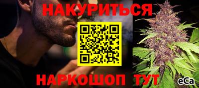индика Малгобек