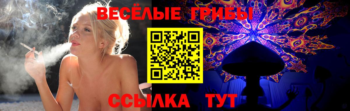 Галлюциногенные грибы Psilocybine cubensis  Вход с VPN  Тверь  Галлюциногенные грибы мухоморы 